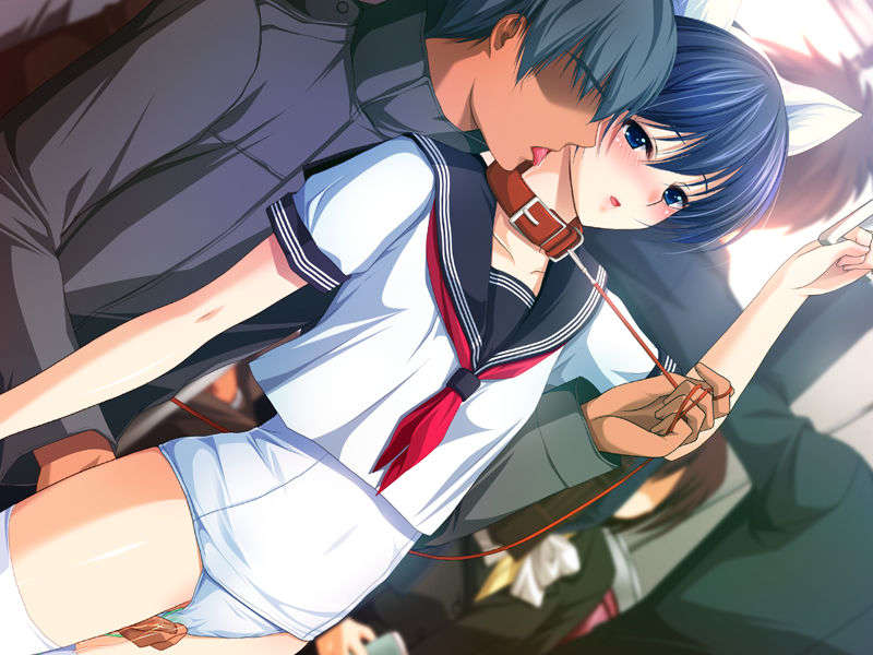 CG_HN09_BASEA