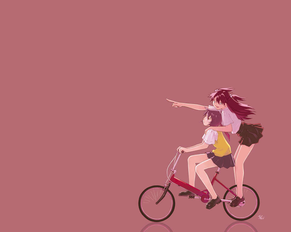 wp_o507_l