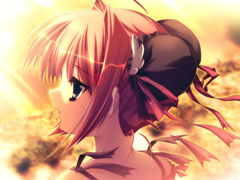 harukoi275