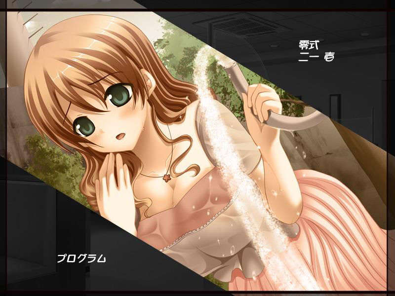 akihoend_06_a