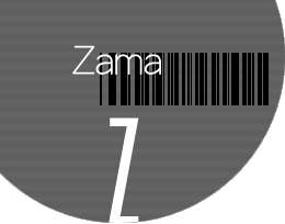 LABEL_Z