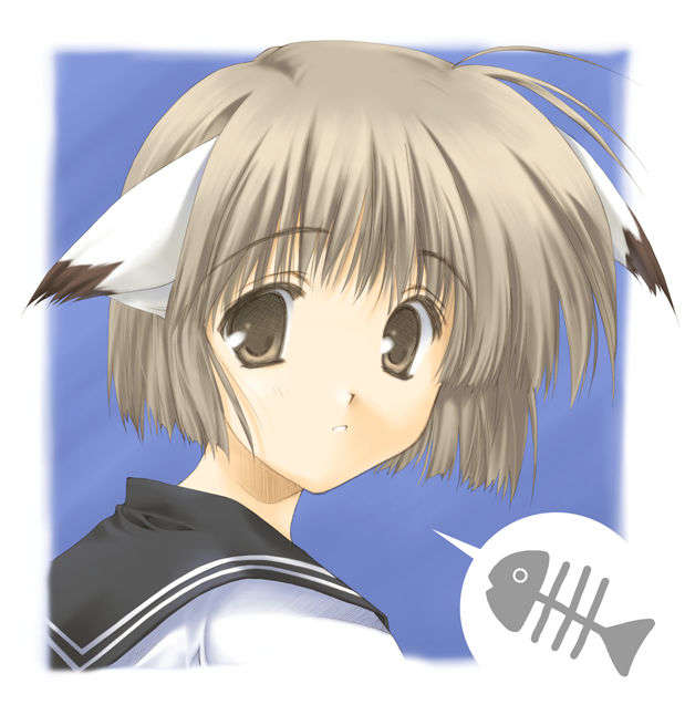 M3_CAT
