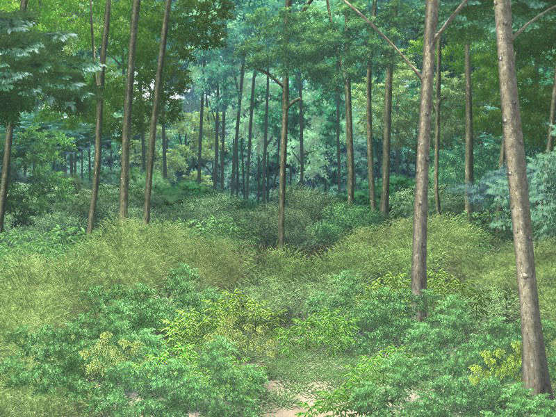 BG21