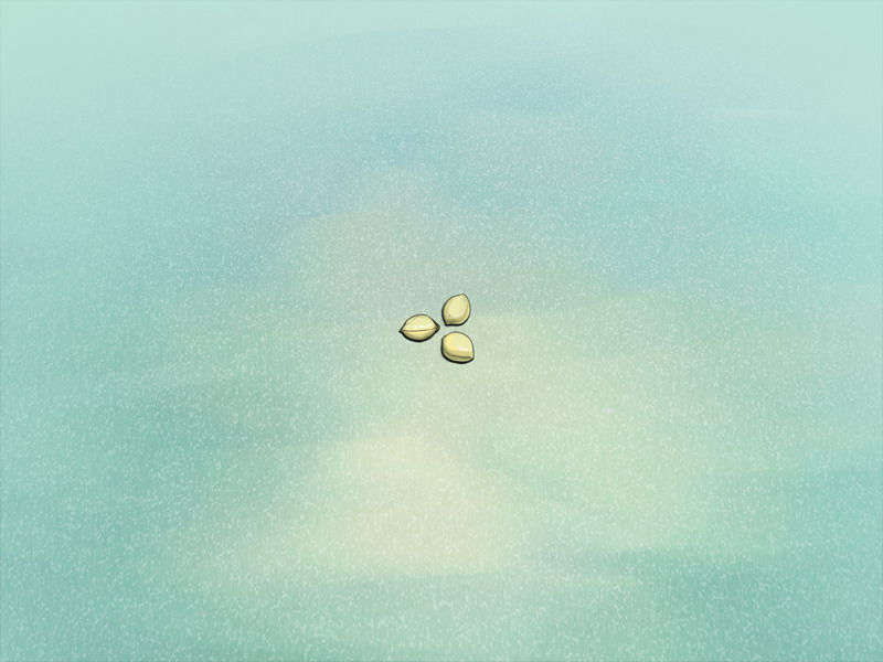 0196