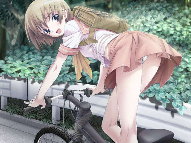 cg.pd_000006