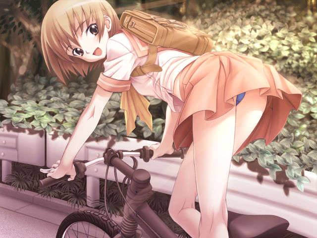 cg.pd_000007