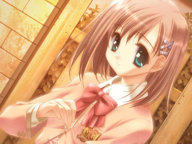 canvas_dvd002