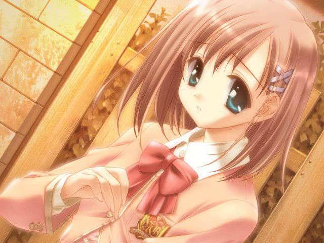 canvas_dvd003