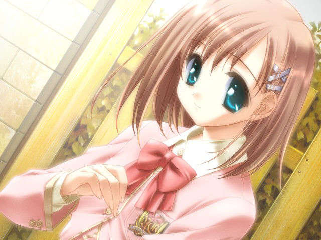 canvas_dvd004