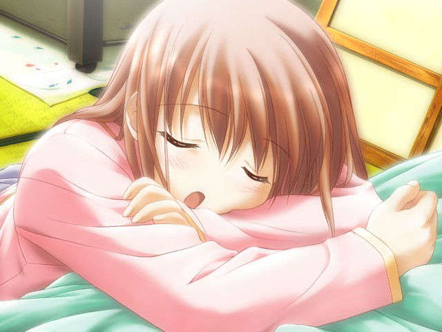 canvas_dvd006