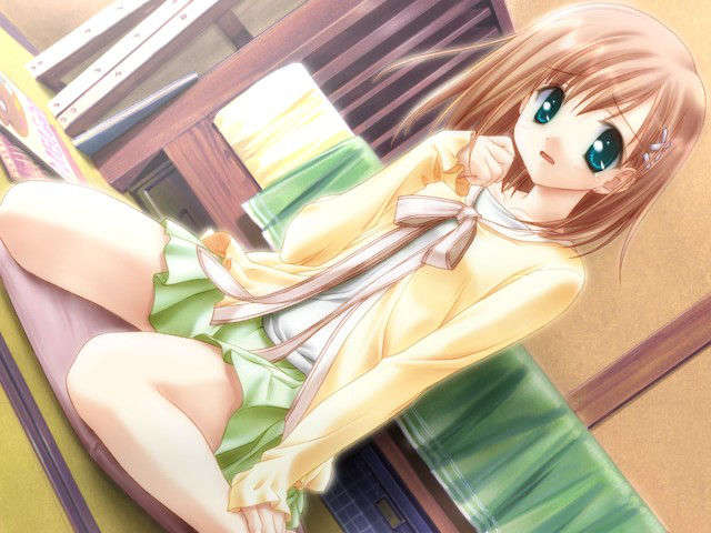 canvas_dvd009
