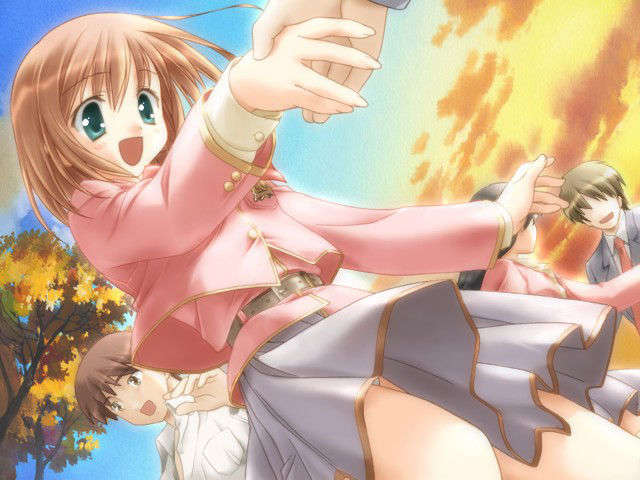 canvas_dvd011