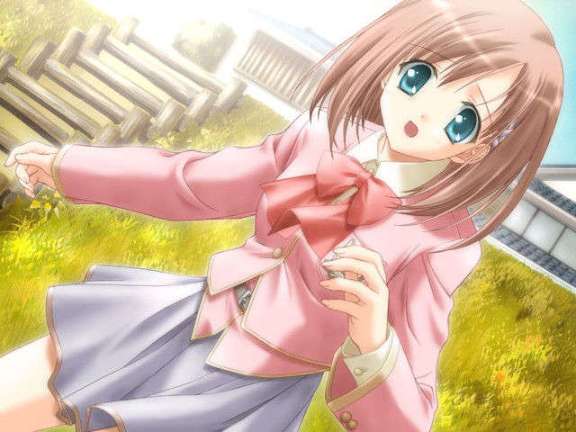 canvas_dvd012