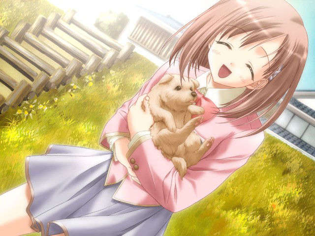 canvas_dvd013
