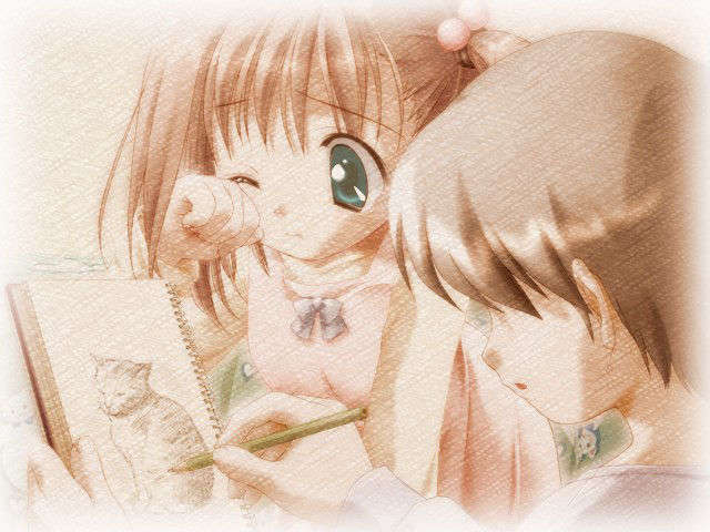 canvas_dvd016