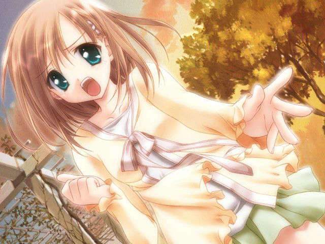 canvas_dvd017