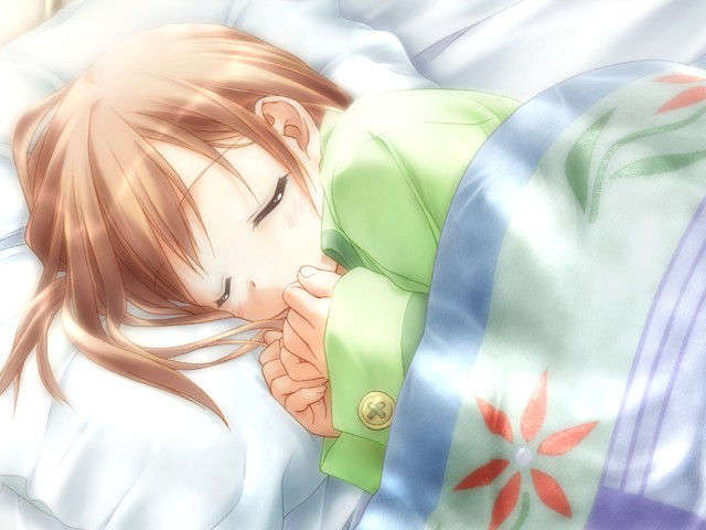 canvas_dvd020