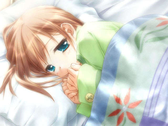 canvas_dvd021