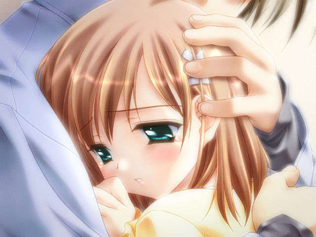 canvas_dvd022