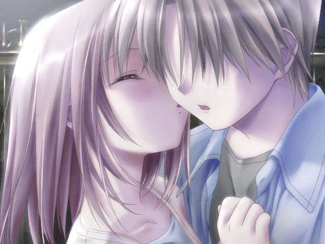 canvas_dvd023