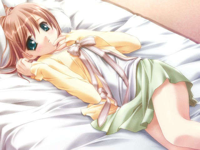 canvas_dvd024
