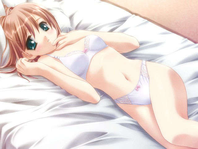 canvas_dvd025