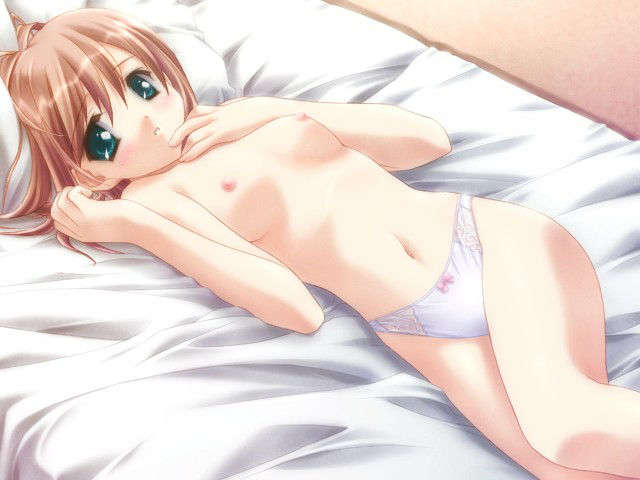 canvas_dvd026