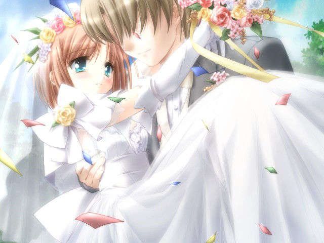 canvas_dvd030