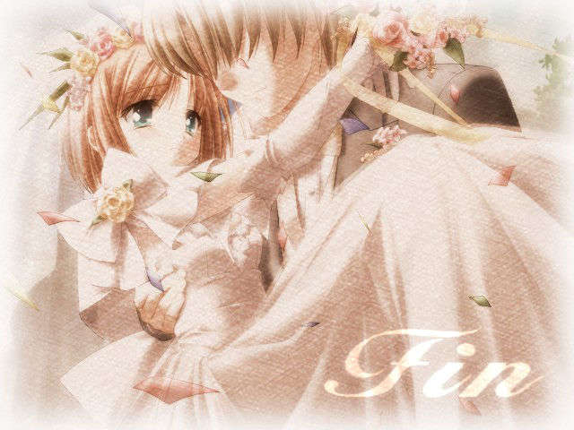 canvas_dvd031