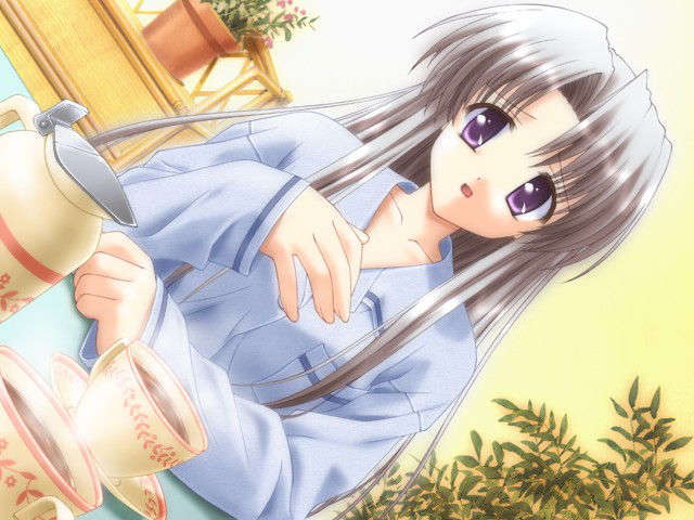 canvas_dvd044