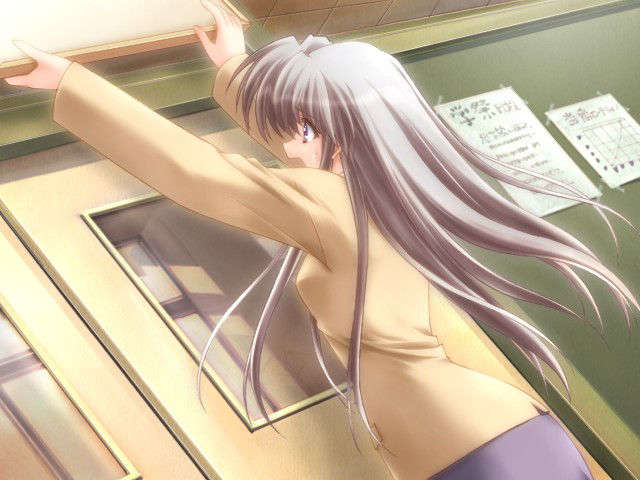 canvas_dvd046