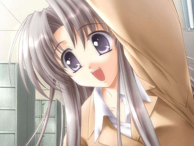 canvas_dvd049