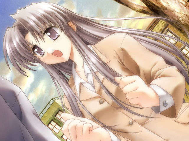 canvas_dvd050