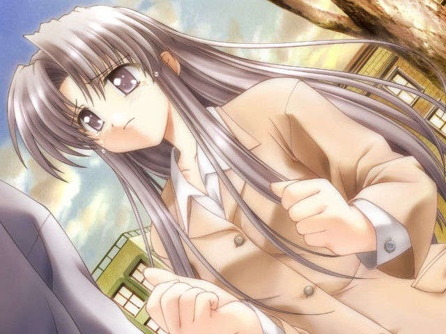 canvas_dvd051