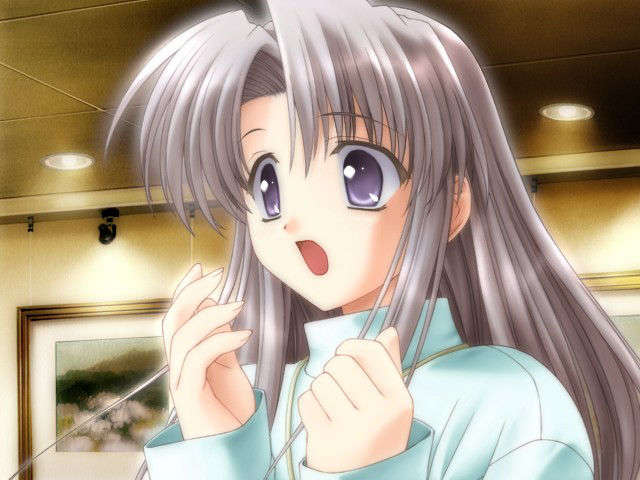 canvas_dvd052