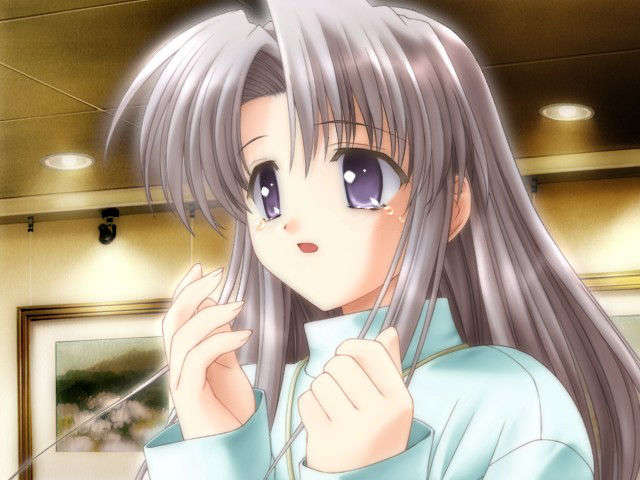 canvas_dvd053