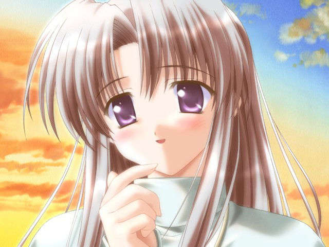 canvas_dvd054
