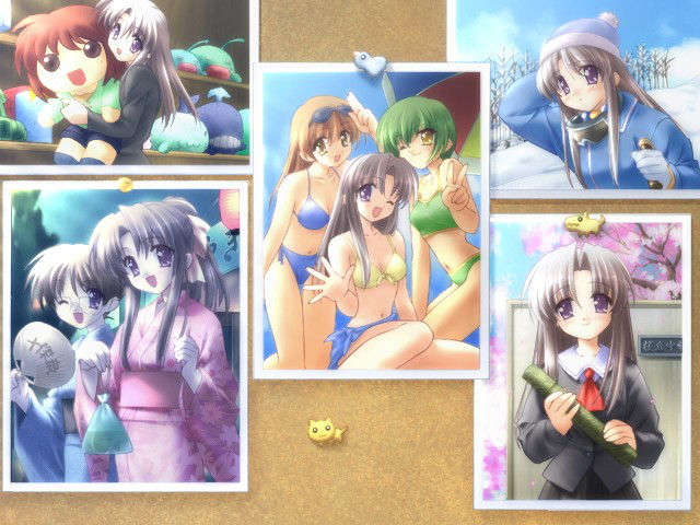 canvas_dvd058