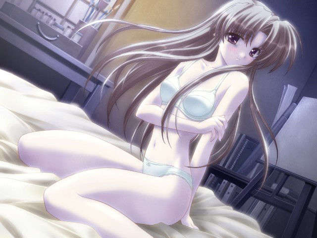 canvas_dvd060