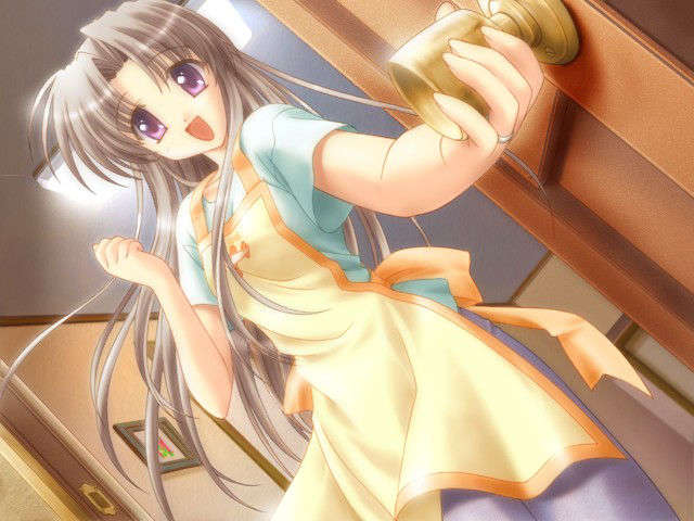 canvas_dvd065