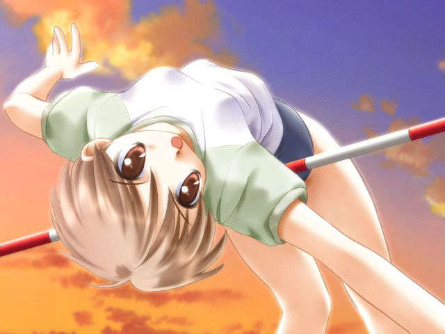 canvas_dvd067