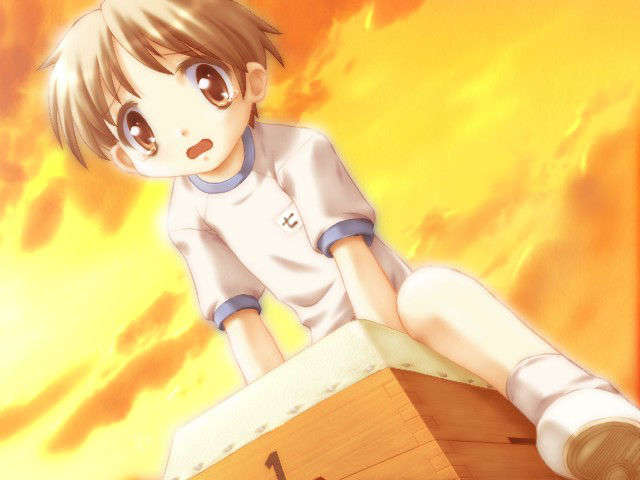 canvas_dvd068
