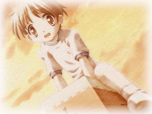 canvas_dvd069