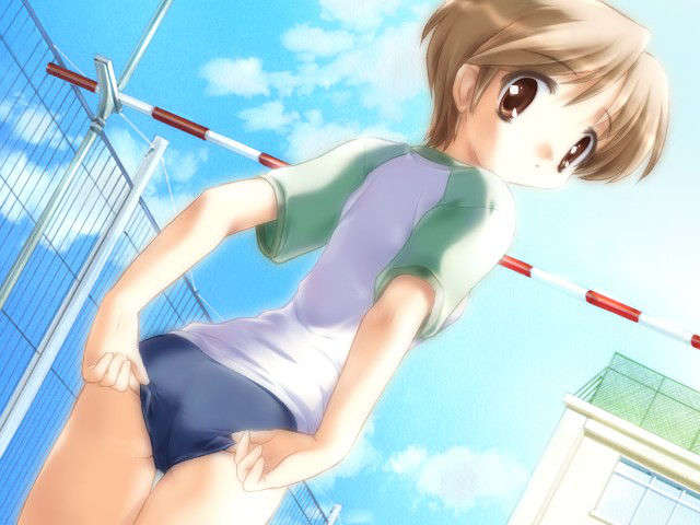 canvas_dvd070