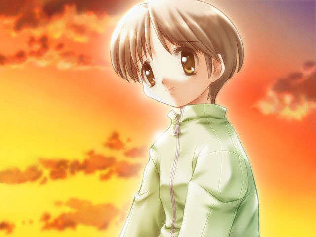 canvas_dvd072