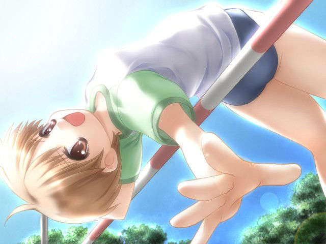 canvas_dvd076