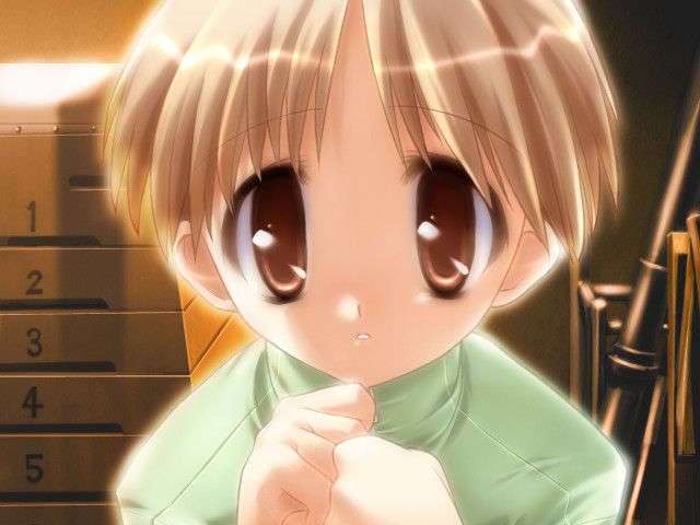 canvas_dvd078