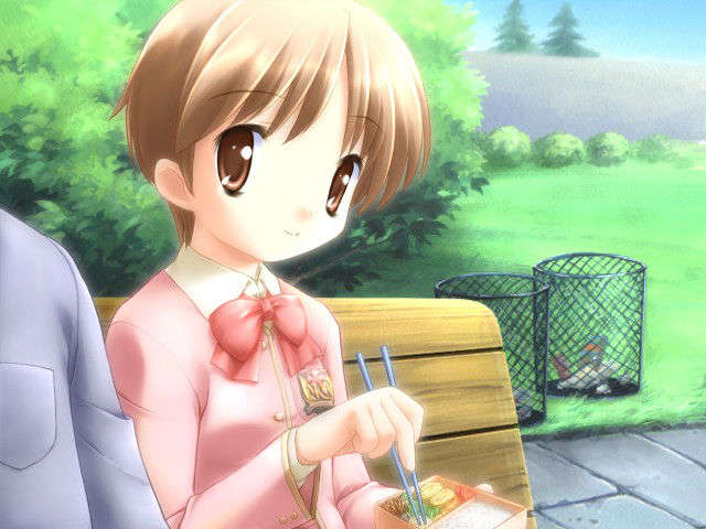 canvas_dvd082