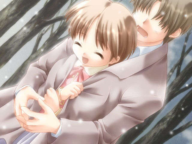 canvas_dvd095