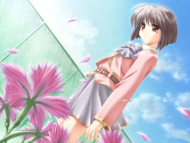 canvas_dvd097